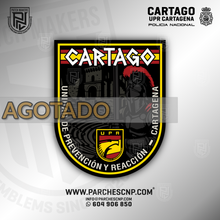 Cargar imagen en el visor de la galería, EMBLEMA U.P.R. - CARTAGO - CARTAGENA