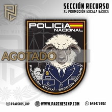 Cargar imagen en el visor de la galería, EMBLEMA CONMEMORATIVO SECCIÓN RECURSO XXXIX P.N. E.B. PROMOCIÓN XL