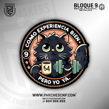 Cargar imagen en el visor de la galería, EMBLEMA CONMEMORATIVO SECCIÓN 54 BLOQUE 9 P.N. E.B. PROMOCIÓN XL