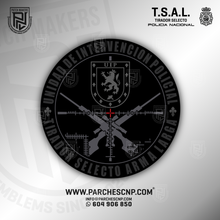Cargar imagen en el visor de la galería, CURSO TSAL 2024 Y 2025 UIP - TIRADOR SELECTO DE ARMA LARGA