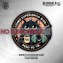 Cargar imagen en el visor de la galería, EMBLEMA CONMEMORATIVO SECCIÓN 54 BLOQUE 9 P.N. E.B. PROMOCIÓN XL