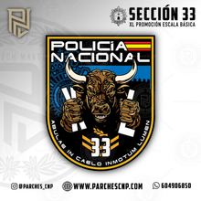 Cargar imagen en el visor de la galería, EMBLEMA CONMEMORATIVO SECCIÓN 33 P.N. E.B. PROMOCIÓN XL
