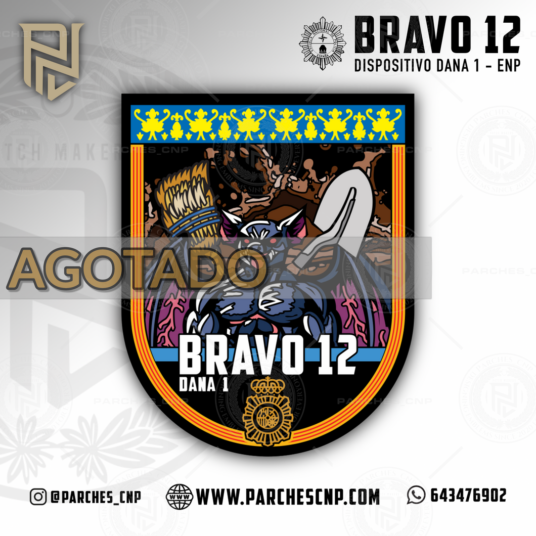 EMBLEMA CONMEMORATIVO OPERACIÓN DANA - DANA 1 BRAVO 12