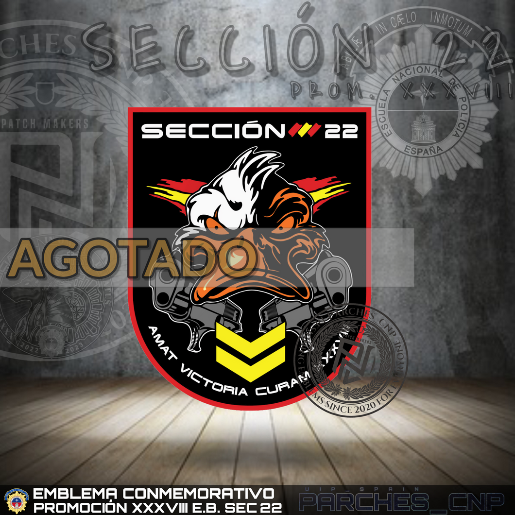 EMBLEMA CONMEMORATIVO DE LA SECCIÓN 22 DE LA PROMOCIÓN XXXVIII