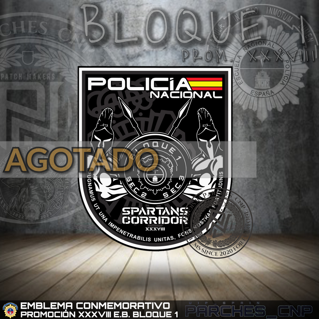EMBLEMA CONMEMORATIVO DEL BLOQUE 1 (SECCIONES 01 Y 02) DE LA PROMOCIÓN XXXVIII