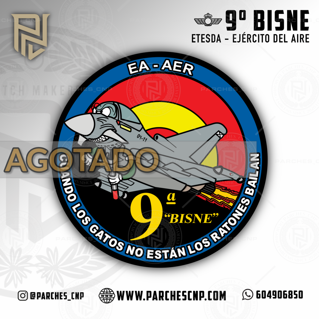 EMBLEMA 9ª BISNE ETESDA CICLO 02/2024 ESPECIALIDAD EA-AER
