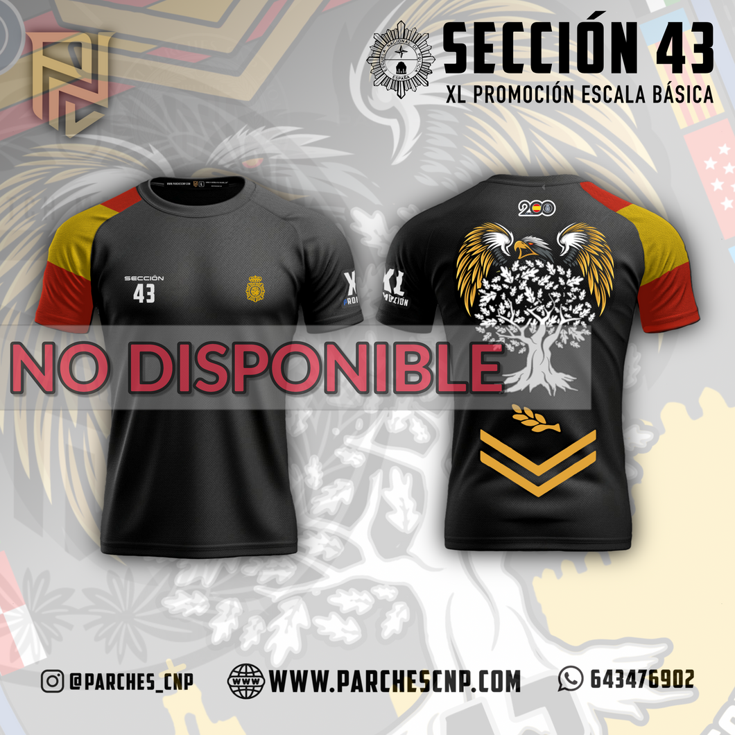 CAMISETA SECCIÓN 43 PROMOCIÓN XL