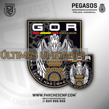 Cargar imagen en el visor de la galería, EMBLEMA DEL GRUPO OPERATIVO DE RESPUESTA DE MURCIA - PEGASOS
