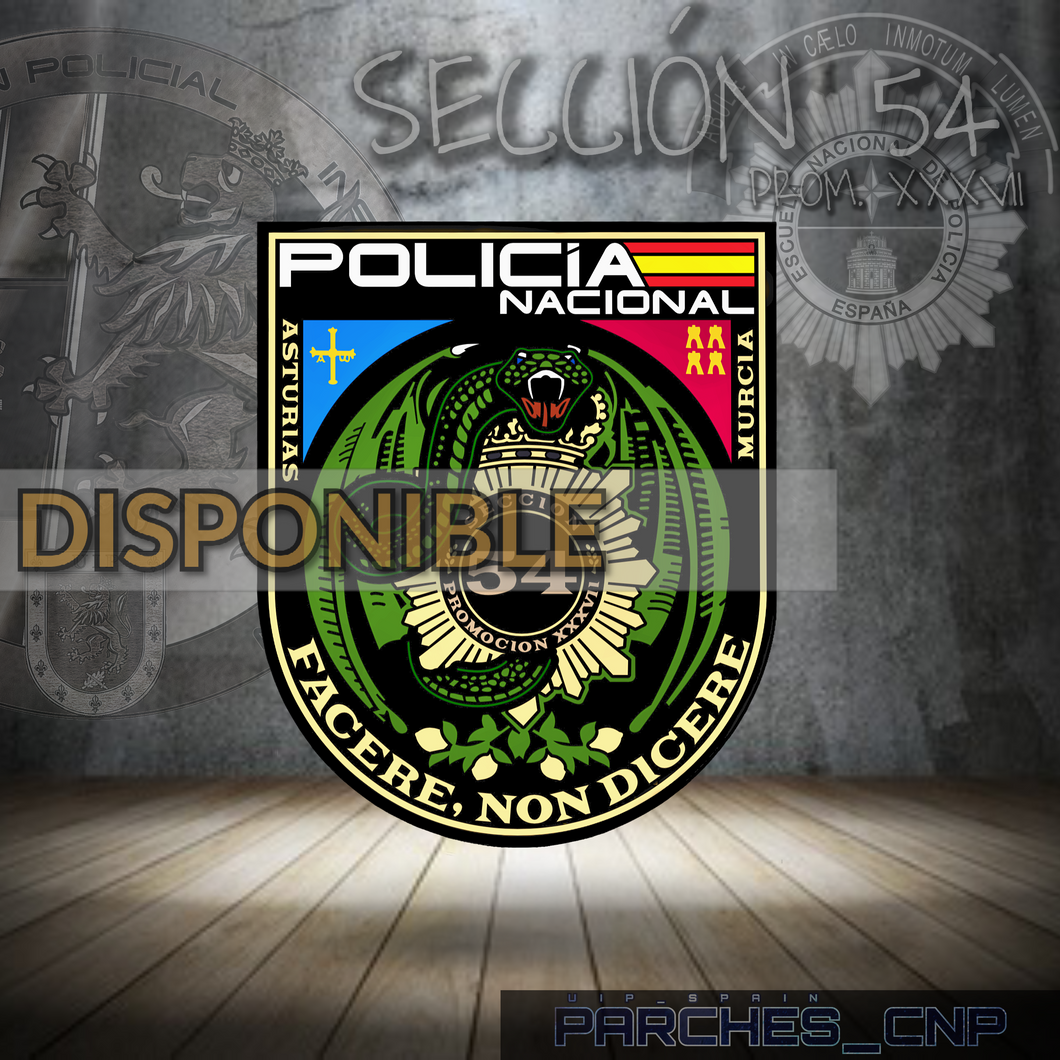 EMBLEMA CONMEMORATIVO DE LA SECCIÓN 54 DE LA PROMOCIÓN XXXVII