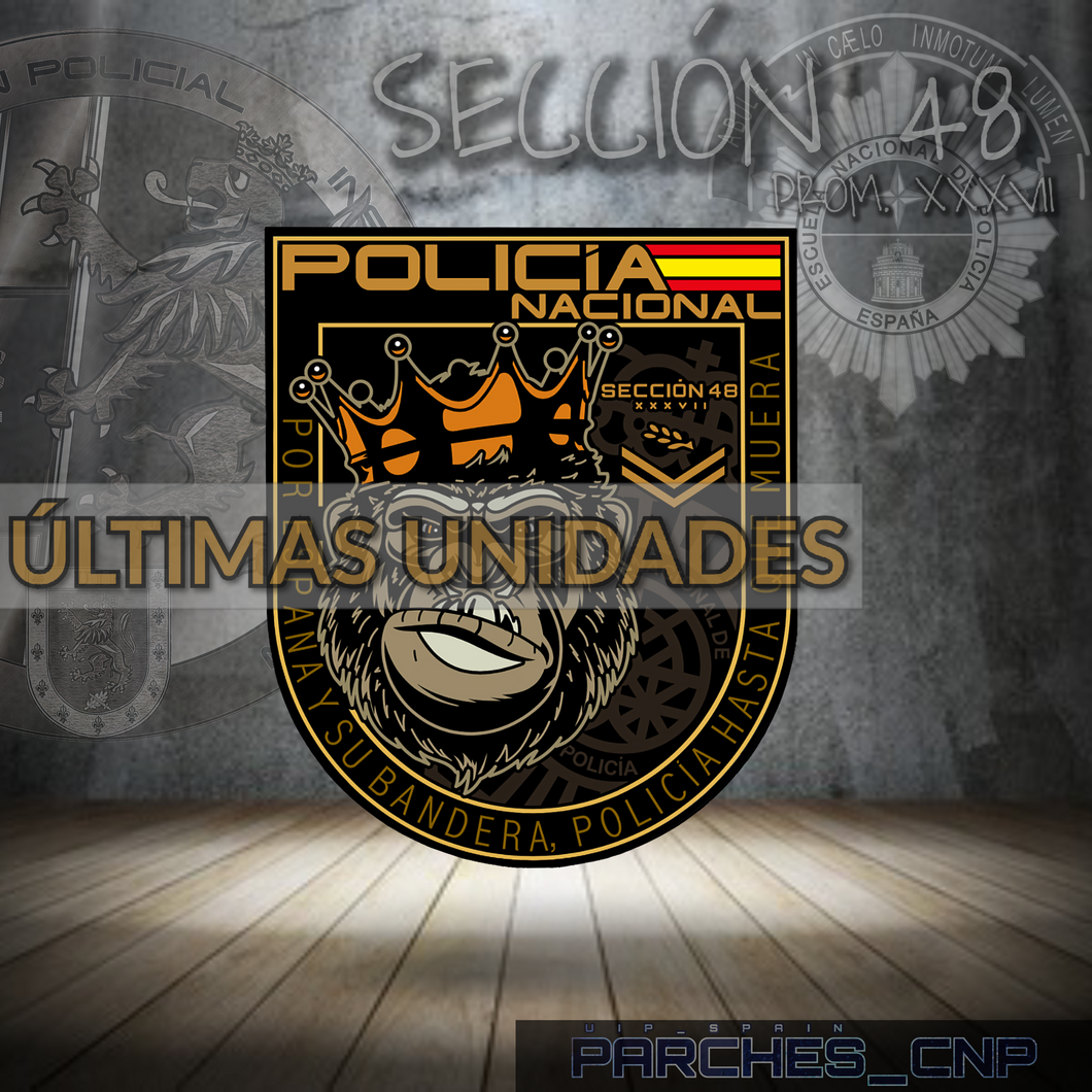 EMBLEMA CONMEMORATIVO DE LA SECCIÓN 48 DE LA PROMOCIÓN XXXVII